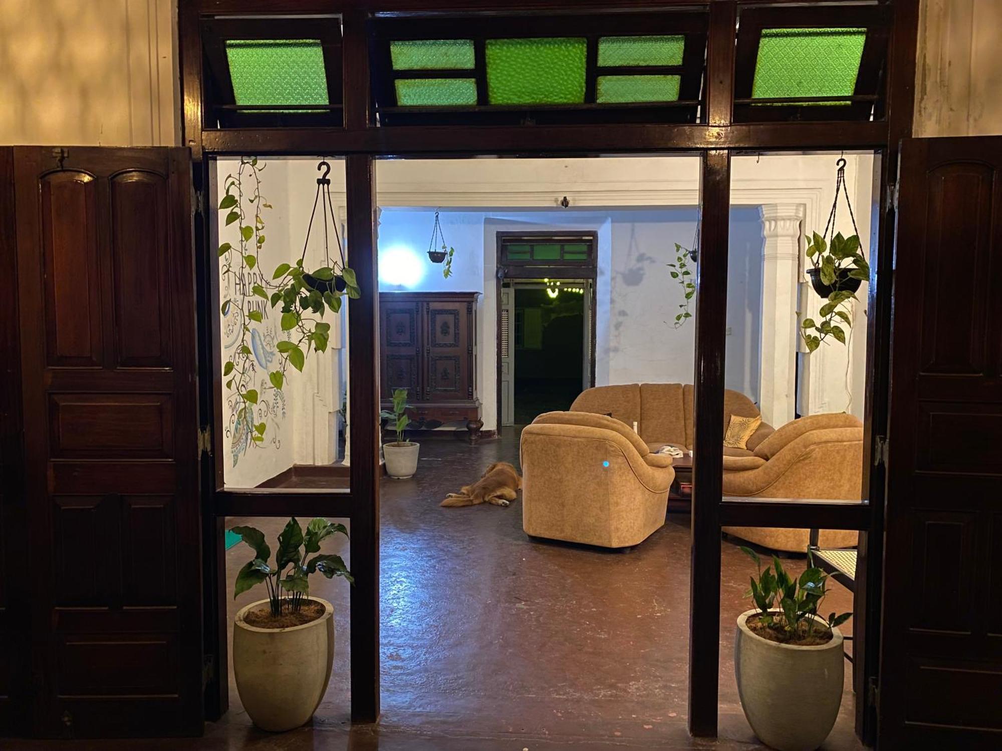 Happy Bunk Hostel فيليغاما المظهر الخارجي الصورة